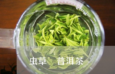 虫草 普洱茶/2023042812340